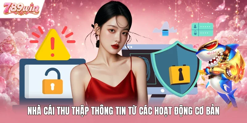 Nhà cái thu thập thông tin từ các hoạt động cơ bản