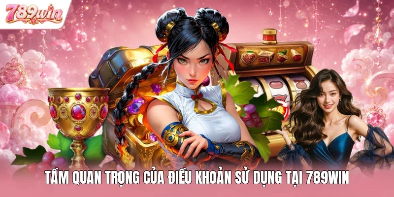 Tầm quan trọng của điều khoản sử dụng tại 789WIN